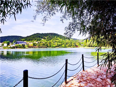 蒋红平：在花乡茶谷（组诗）