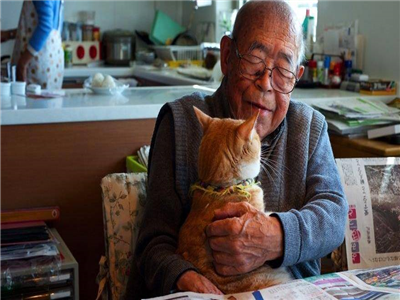 杜蓉：给猫上课