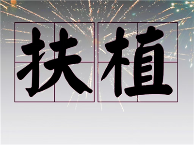 关于申报2024年孝感市文艺精品创作扶持资金项目的通知