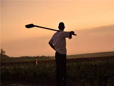 一个教授媳妇眼中的孝感乡村现状