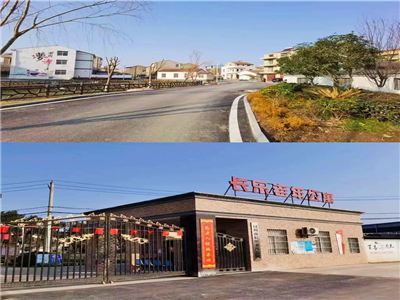 湖北汉川行：一个外地记者儿媳的观与感