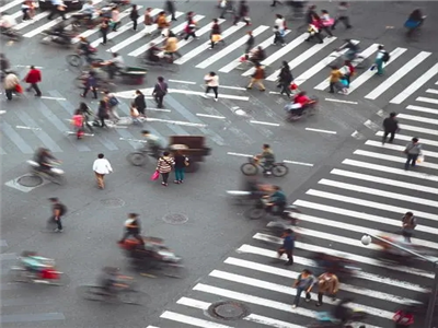 清华教授：整个社会都陷入了一场忙碌症