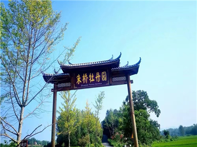 朱桥牡丹园采风作品 ·  诗歌小辑