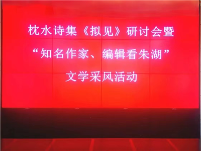 枕水诗集《拟见》研讨会暨“知名作家、编辑看朱湖文学采风”在朱湖举行