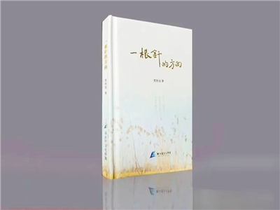 蒋红平：汉水有信，芦笛传安——贾传安诗集《一根针的方向》评析