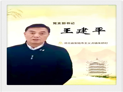 乡村筑梦人——记朱桥村党支部书记王建平（作者：杜蓉）