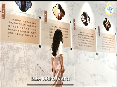 孝感槐荫书展，绽放文学光彩