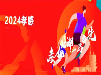 2024年度湖北文学创作综述——孝感作家篇