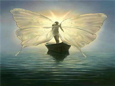 舒兴原：面容之上，灵魂之下：论审美浅薄时代的价值自觉