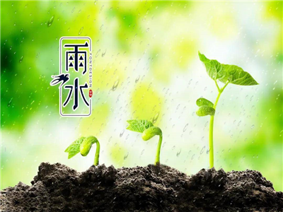 梁 征：雨水节气：春之序曲，情韵悠长