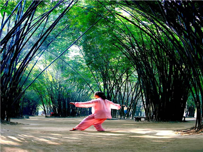 舒兴原：时光的散步者