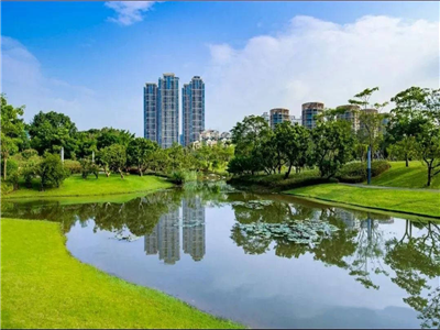 高乔明：香蜜湖畔话湖源