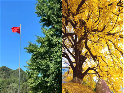 刘鸿凌：镌刻在钱冲的历史履痕
